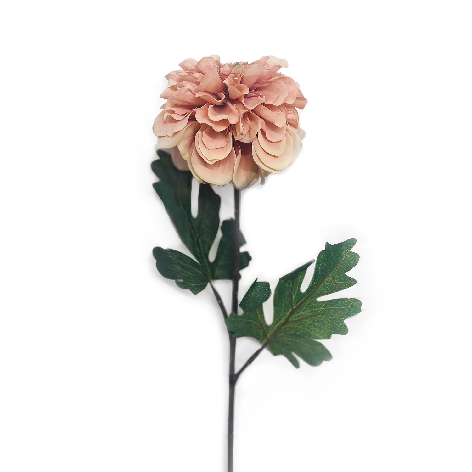 ImPres Dahlia Stem - Dusky Pink 76x12cm